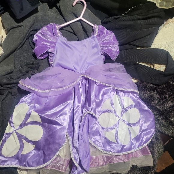 Disney Store Authentic Sofia The First Girls Size 2 Costume - Picture 6 of 7